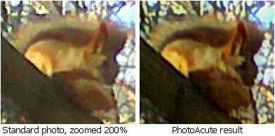 photoacute